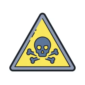 What Makes Yash’s New Film Toxic a Must-Watch?