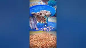 വെളിച്ചെണ്ണ: Why is Coconut Oil Pricing So High Despite Falling Coconut Prices?